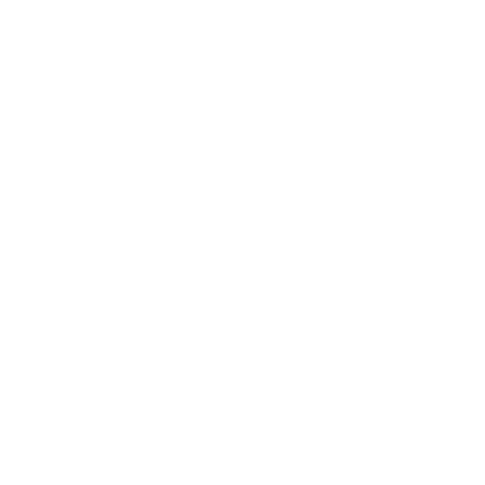 disque-blanc